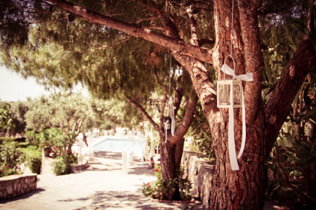 photo-vaptisis-ktima-gaia-moro-agori